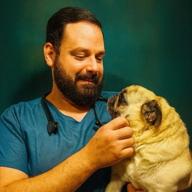 Dr. Luis Rodrigues, veterinário em São Roque, com um cão Pug